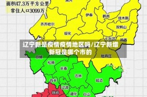 辽宁新是疫情疫情地区吗/辽宁新增新冠是哪个市的