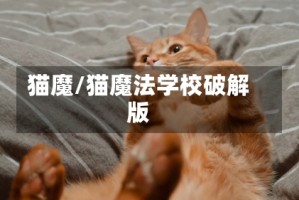 猫魔/猫魔法学校破解版