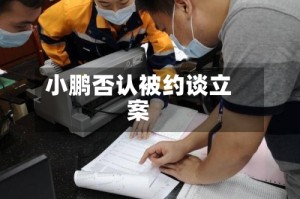 小鹏否认被约谈立案