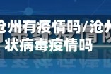 疫情地区沧州有疫情吗/沧州有新冠状病毒疫情吗