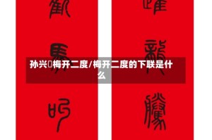 孙兴慜梅开二度/梅开二度的下联是什么