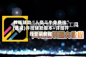 教程辅助“人皇斗牛免费挂”(透视)开挂辅助脚本+详细开挂安装教程