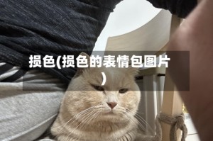 损色(损色的表情包图片)