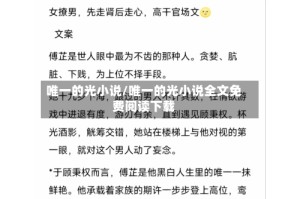 唯一的光小说/唯一的光小说全文免费阅读下载