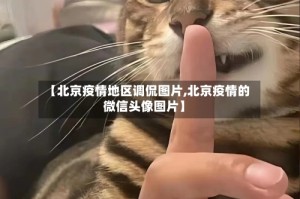 【北京疫情地区调侃图片,北京疫情的微信头像图片】