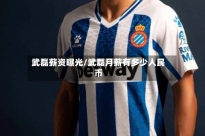 武磊薪资曝光/武磊月薪有多少人民币