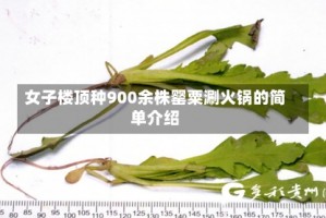 女子楼顶种900余株罂粟涮火锅的简单介绍