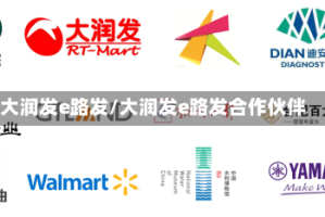 大润发e路发/大润发e路发合作伙伴