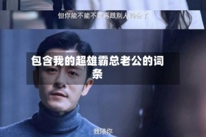 包含我的超雄霸总老公的词条