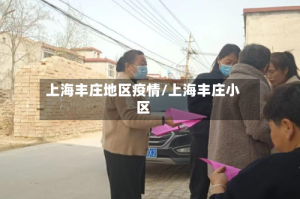 上海丰庄地区疫情/上海丰庄小区