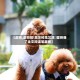 【虐狗,虐狗啦!高冷校花又双叒壁咚我了全文阅读笔趣阁】