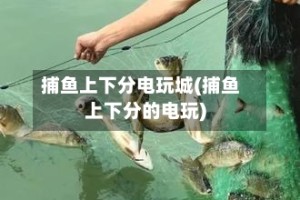 捕鱼上下分电玩城(捕鱼上下分的电玩)