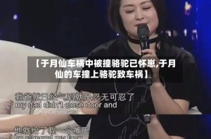 【于月仙车祸中被撞骆驼已怀崽,于月仙的车撞上骆驼致车祸】