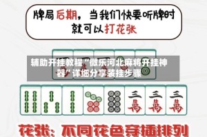 辅助开挂教程“微乐河北麻将开挂神器”详细分享装挂步骤