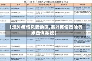 【境外疫情风险地区,海外疫情风险等级查询系统】