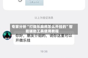 专家分析“打微乐麻将怎么开挂的”智能辅助工具使用教程