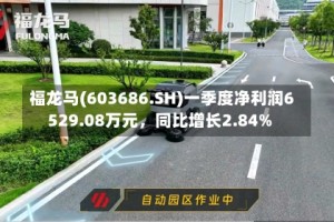 福龙马(603686.SH)一季度净利润6529.08万元，同比增长2.84%