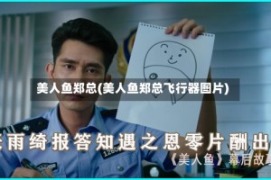 美人鱼郑总(美人鱼郑总飞行器图片)