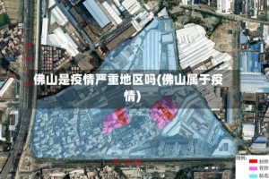 佛山是疫情严重地区吗(佛山属于疫情)
