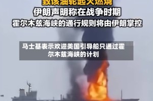 马士基表示欢迎美国引导船只通过霍尔木兹海峡的计划
