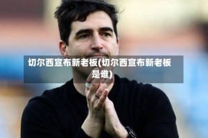 切尔西宣布新老板(切尔西宣布新老板是谁)