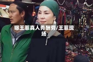 曝王菲真人秀酬劳/王菲现场