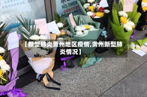 【新型肺炎贵州地区疫情,贵州新型肺炎情况】
