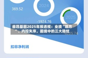 睿昂基因2025年报透视：业绩“塌方”、内控失序，困境中的三大隐忧