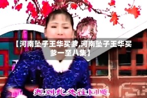 【河南坠子王华买爹,河南坠子王华买爹一至八集】