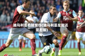 迪马利亚右腿受伤(迪马利亚左脚还是右脚)