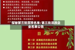 探秘第三批混改名单/第三批混改企业名单公告