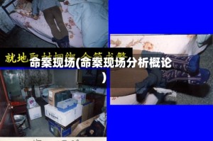 命案现场(命案现场分析概论)