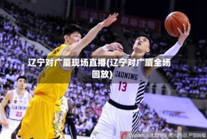 辽宁对广厦现场直播(辽宁对广厦全场回放)