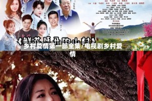 乡村爱情第一部全集/电视剧乡村爱情