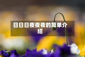 日日日夜夜夜的简单介绍