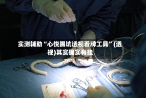 实测辅助“心悦踢坑透视看牌工具”(透视)其实确实有挂