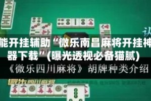 万能开挂辅助“微乐南昌麻将开挂神器下载”(曝光透视必备猫腻)