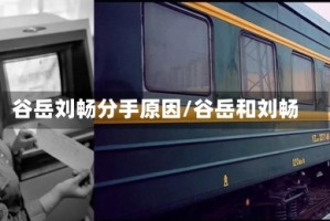 谷岳刘畅分手原因/谷岳和刘畅