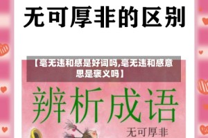 【毫无违和感是好词吗,毫无违和感意思是褒义吗】