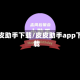 皮皮助手下载/皮皮助手app下载