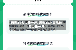 周麦36多少钱一斤/周麦36小麦品种多少钱一斤