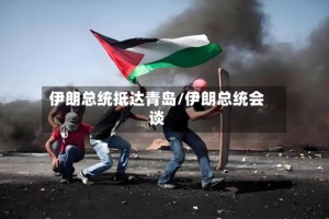 伊朗总统抵达青岛/伊朗总统会谈