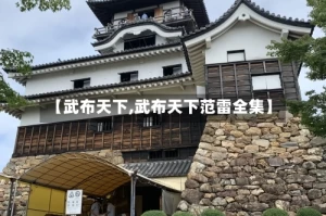 【武布天下,武布天下范雷全集】