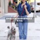 娶中国太太的下场(老外娶中国太太的下场)