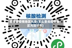 哪里查疫情地区风险(怎么查询疫情地区风险分布)