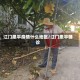 江门恩平疫情什么地区/江门恩平确诊