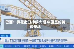 巴西：棉花出口持续大增 中国签约持续提速