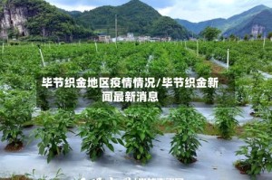 毕节织金地区疫情情况/毕节织金新闻最新消息