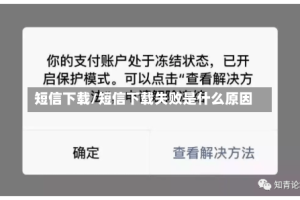 短信下载/短信下载失败是什么原因