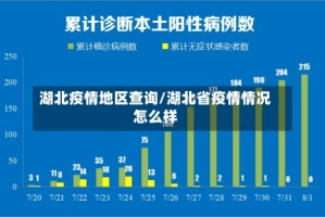 湖北疫情地区查询/湖北省疫情情况怎么样